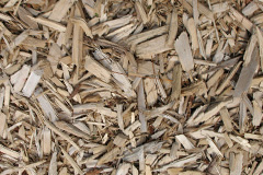 biomass boilers Lickfold