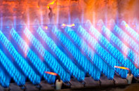 Lickfold gas fired boilers